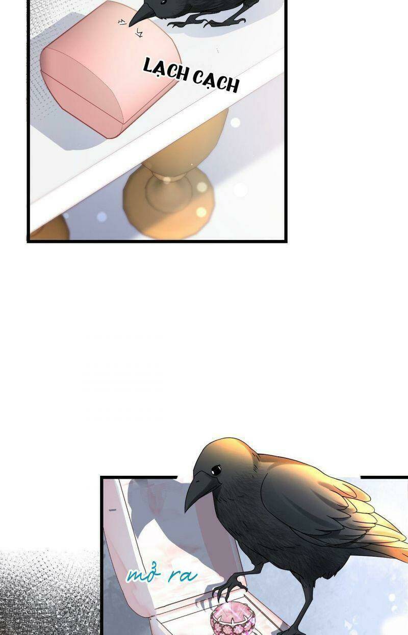 Không Thể Hòan Hảo Tuyệt Đối: Chapter 11