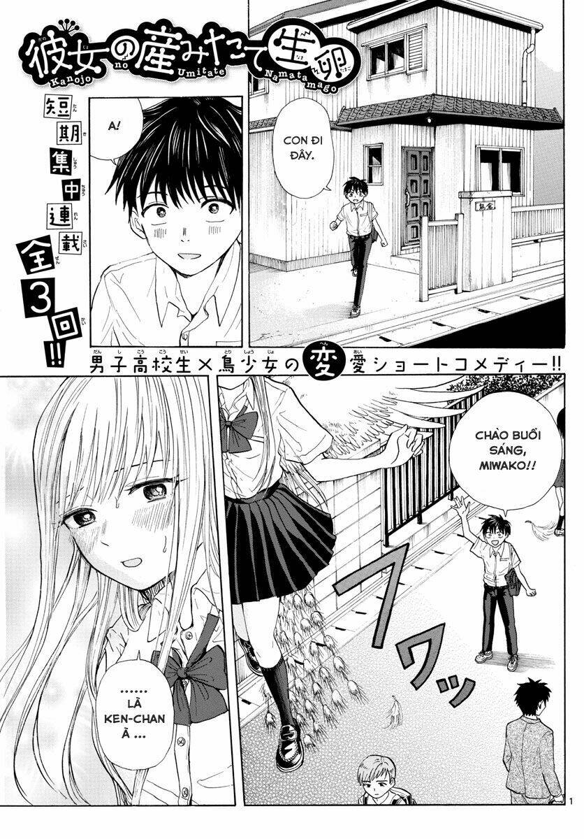 Kanojo No Umitate Namatamago: Chapter 1