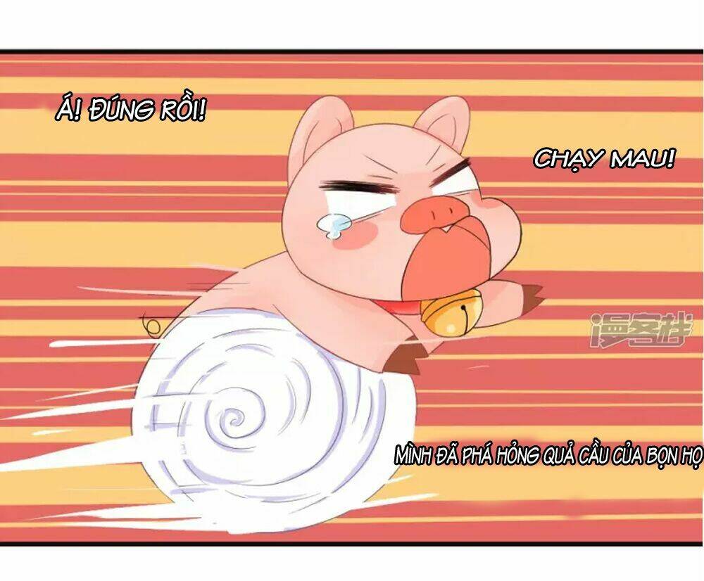 Đệ Tử Của Ta Là Heo: Chapter 3