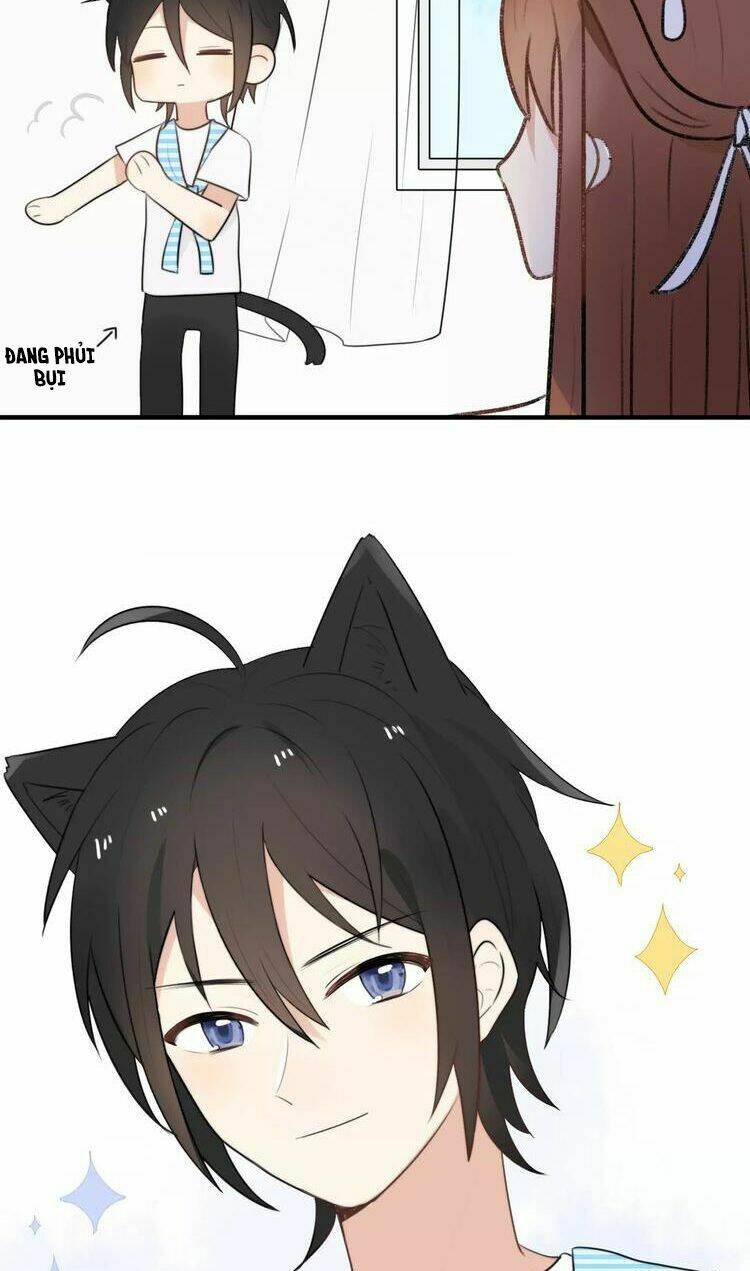 Tiểu Miêu Và Hắc Diệu Thạch: Chapter 5