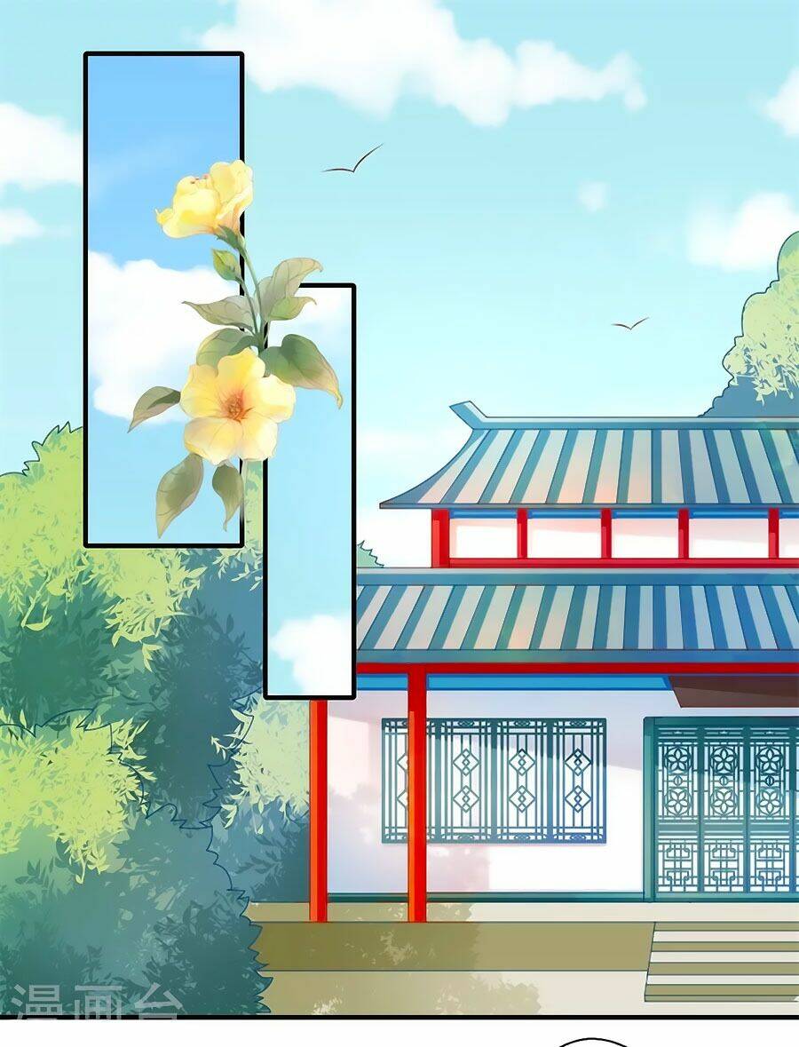 Khuynh Thế Y Phi Muốn Bỏ Chồng: Chapter 75