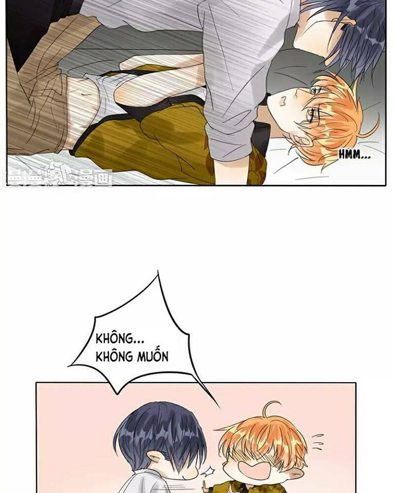 Trẫm Không Phải Là Đại Minh Tinh: Chapter 7