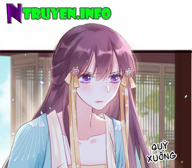 Hoa Nhan Sách: Chapter 100