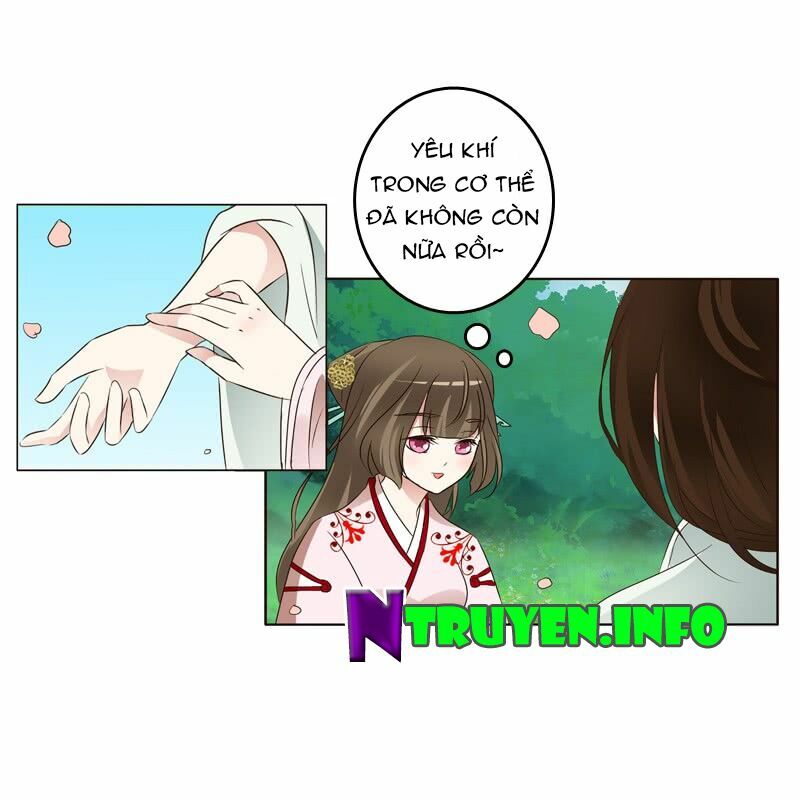 Thông Linh Phi: Chapter 207