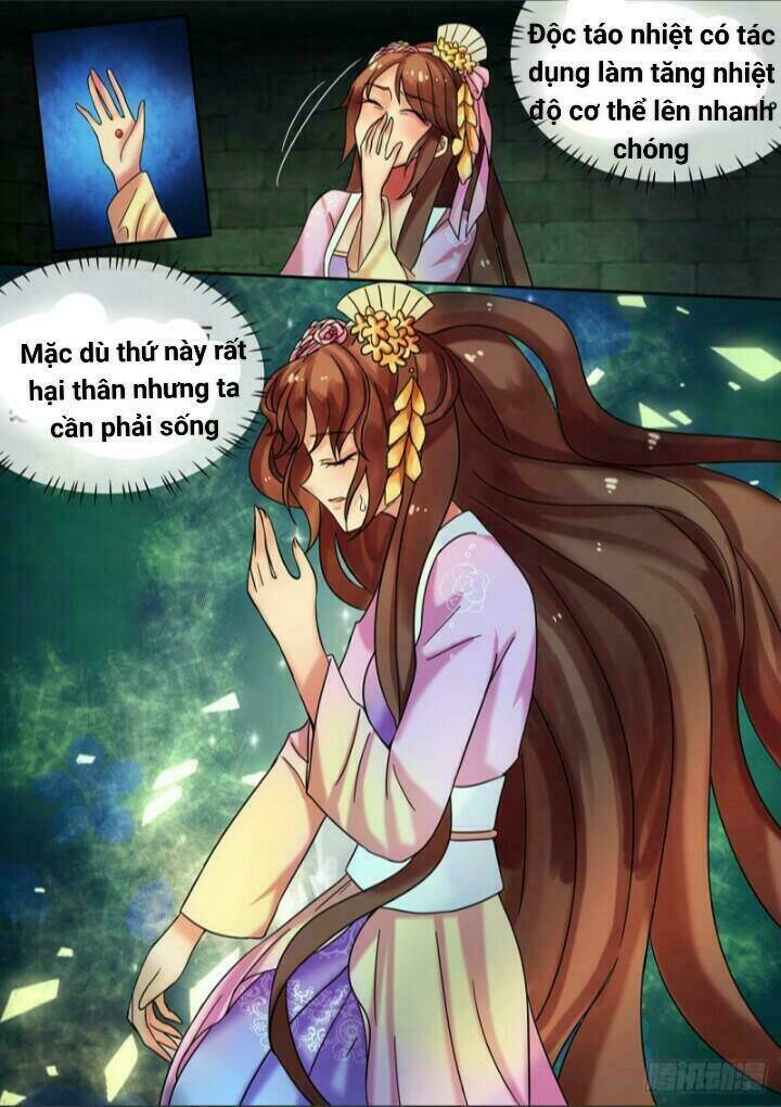 Thiên Tài Tiểu Độc Phi: Chapter 20