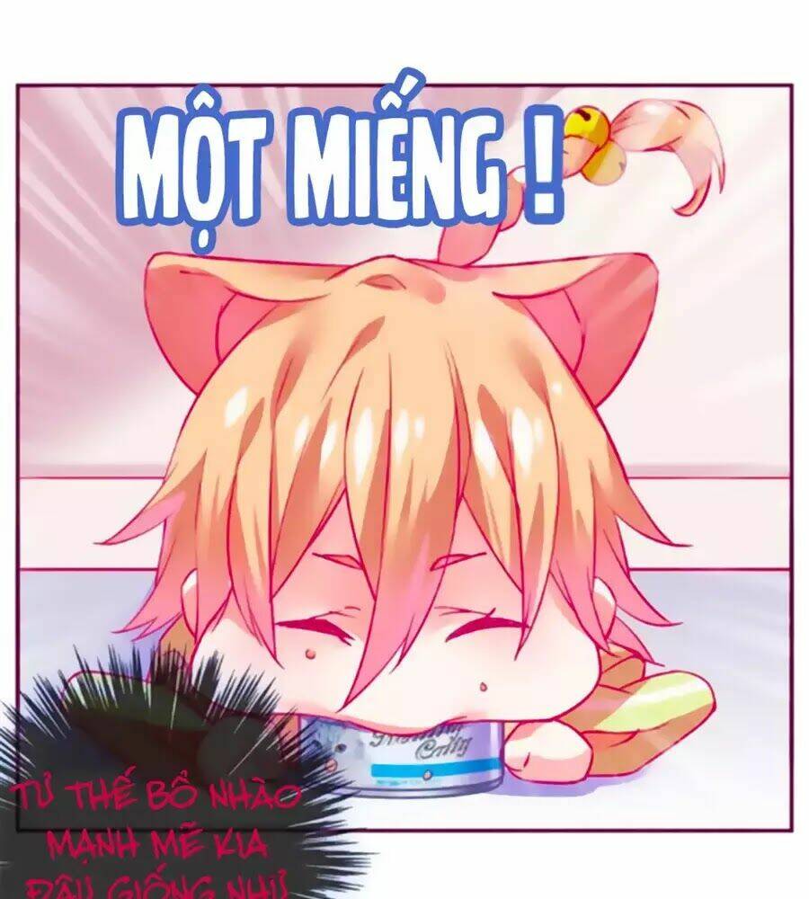 Đừng Nghịch, Ta Chỉ Muốn Yên Tĩnh: Chapter 61