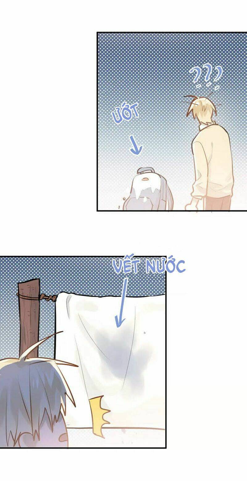 Đầu Gấu Biết Yêu: Chapter 71