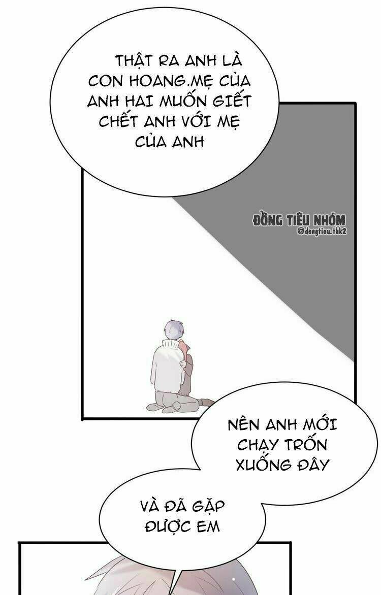 Nhất Tiễn Khuynh Tâm: Chapter 22