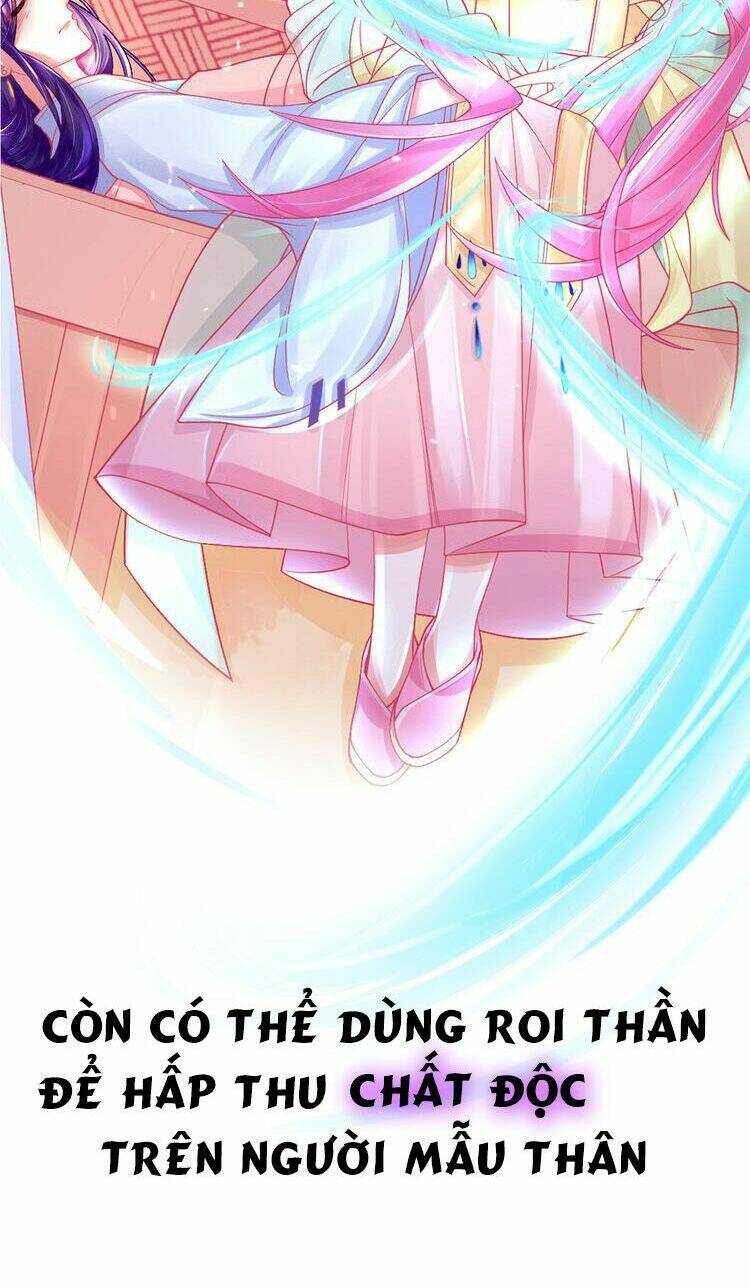 Bổn Vương Phi Có Roi Trong Tay: Chapter 0