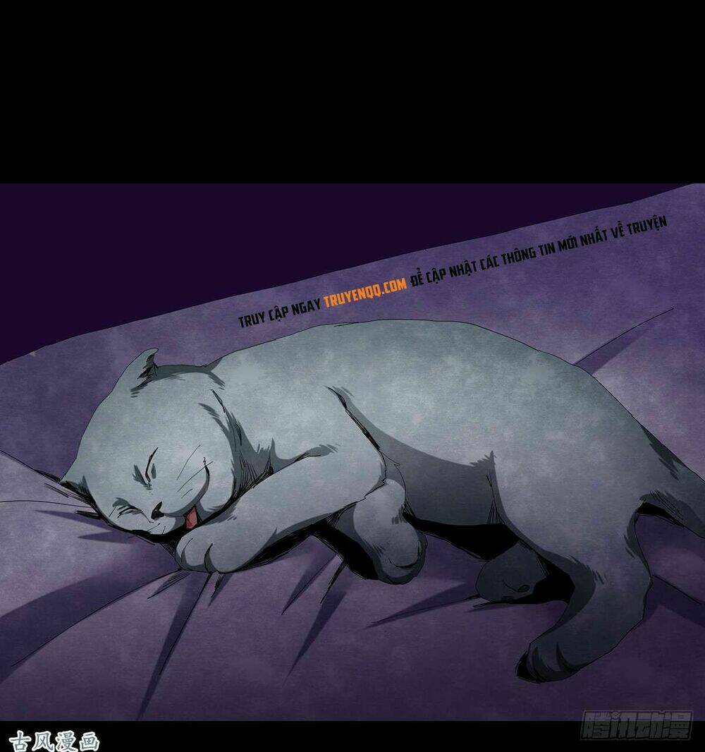 Ẩn Số Về Tứ Gia: Chapter 3