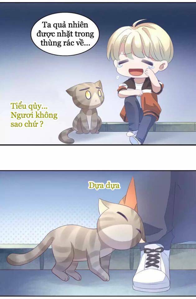 Dưới Móng Vuốt Mèo: Chapter 20