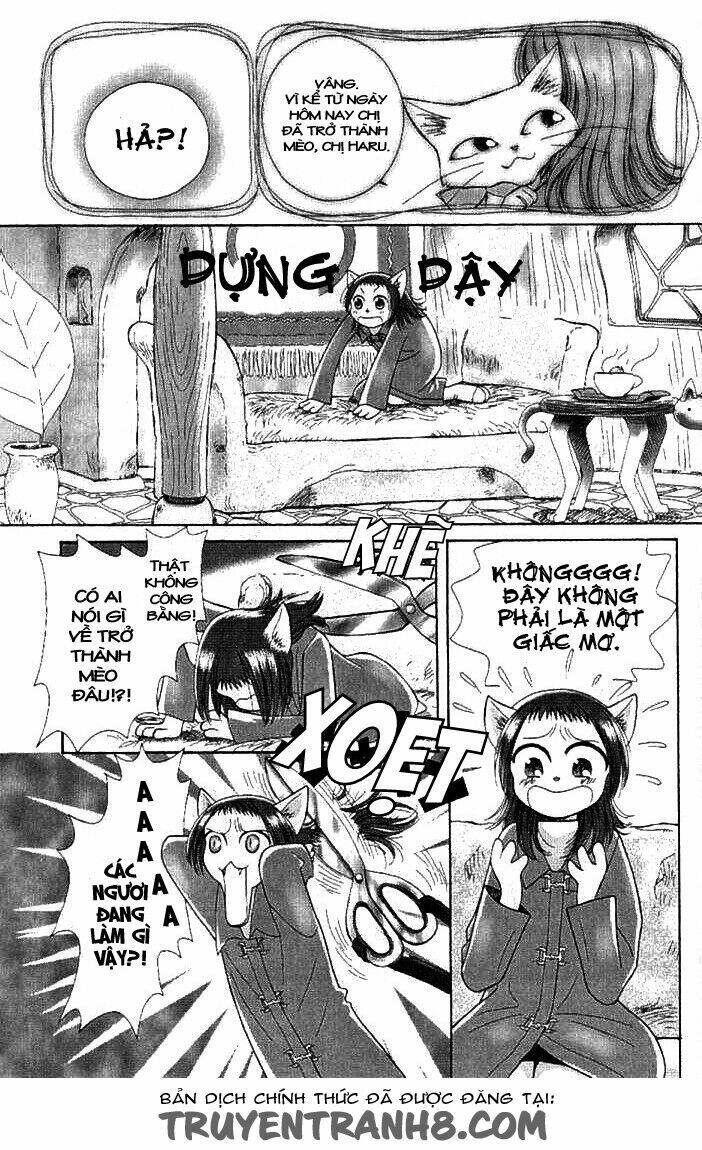 Lời Thì Thầm Từ Trái Tim: Chapter 8