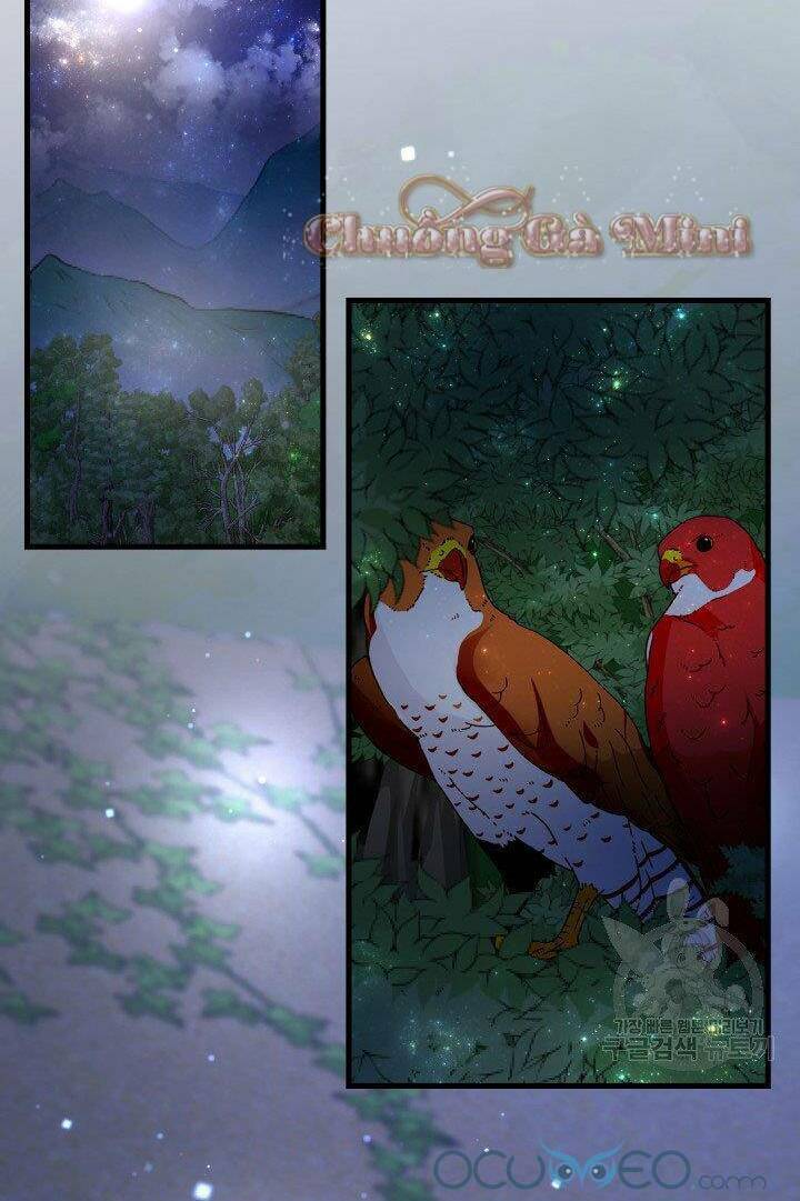 Cô Dâu Của Sói Đen: Chapter 16