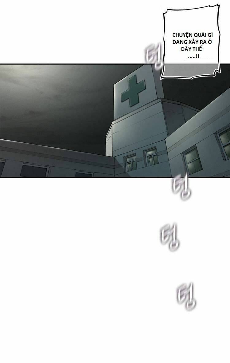 Diamond Dust: Chapter 12