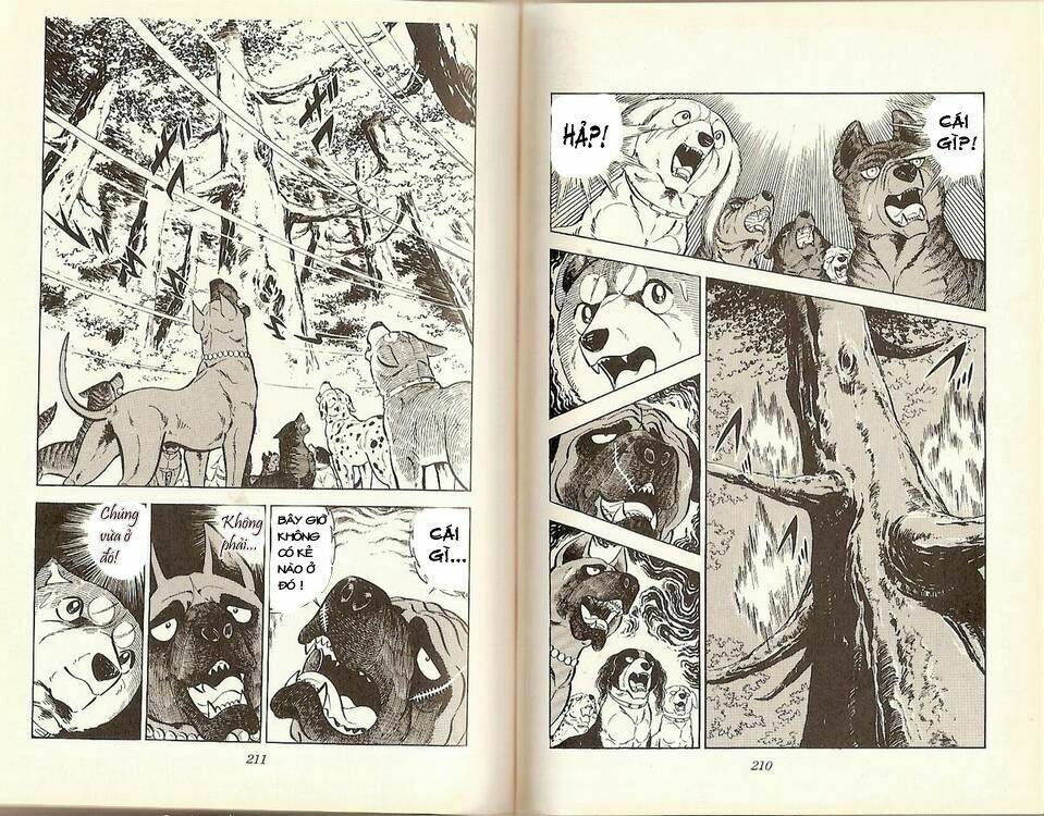 Chú Chó Có Nghĩa - Ginga Nagareboshi Gin: Chapter 17