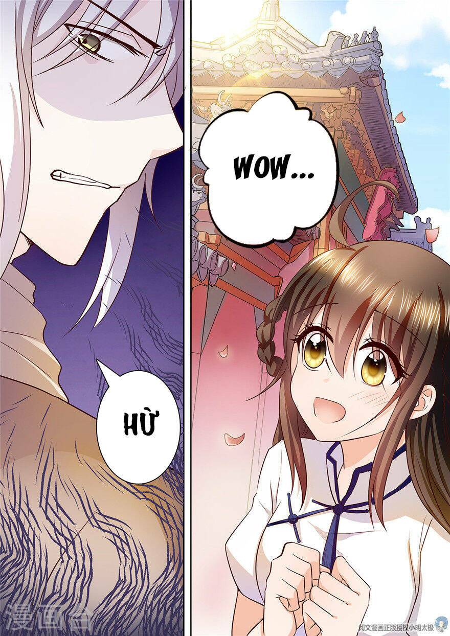 Người Thừa Kế Giá Đáo: Hiệu Thảo Làm Loạn Đủ Chưa?: Chapter 91