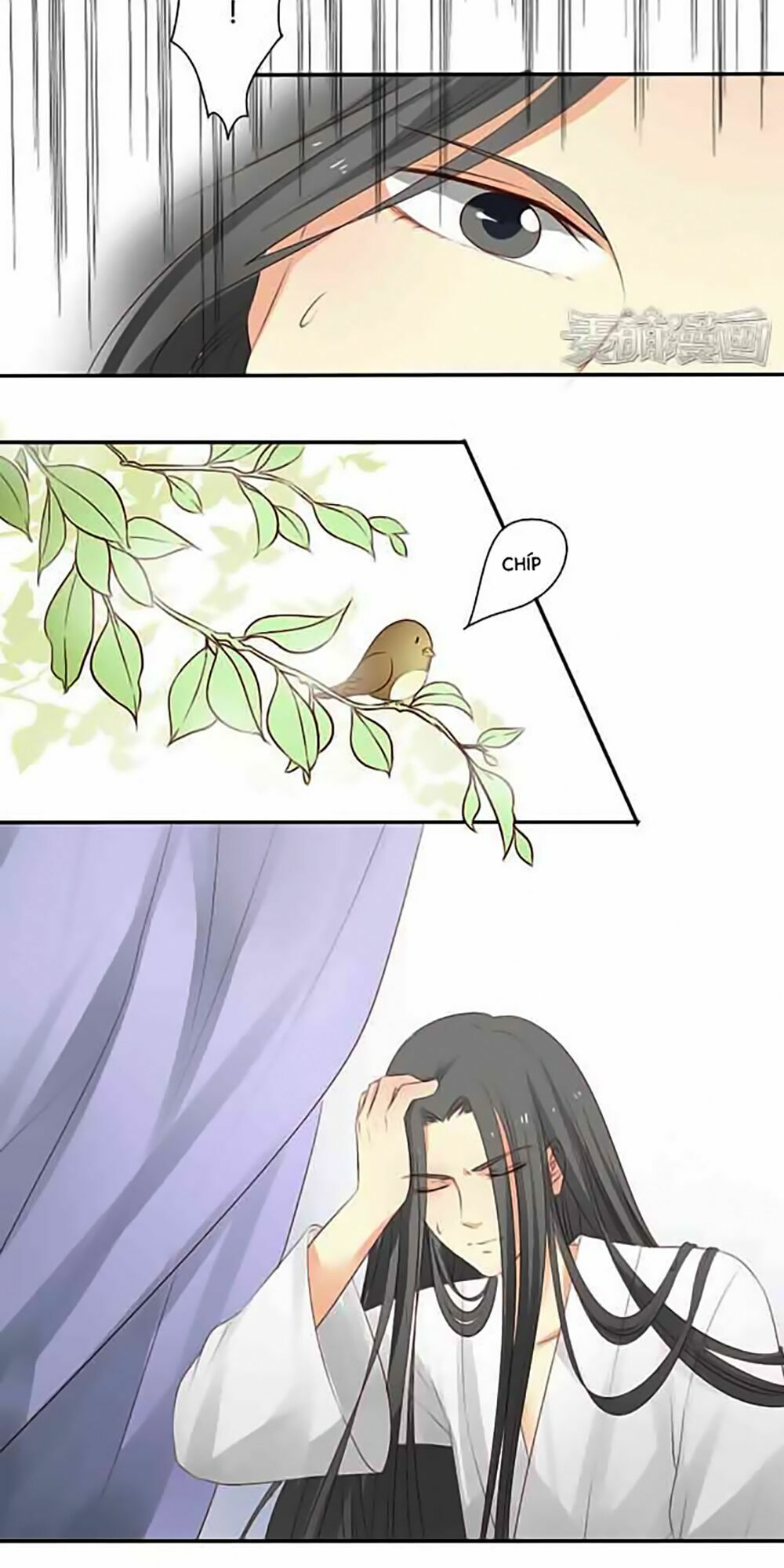 Quy Tự Dao: Chapter 8