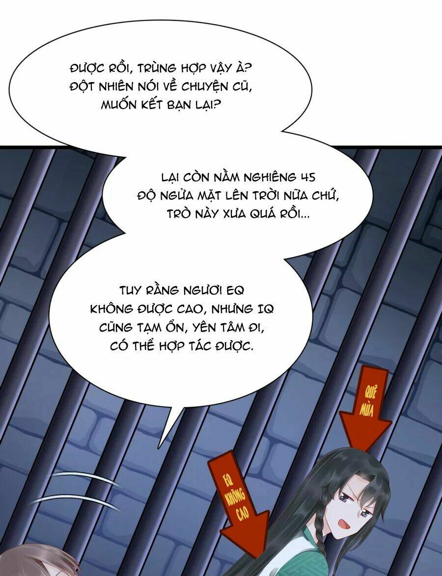 Phú Bà Bạc Tỷ Trong Lãnh Cung: Chapter 47