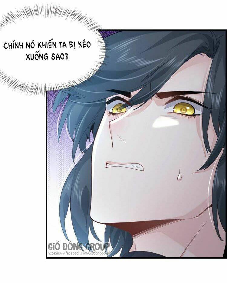 Trở Lại Trước Bình Minh: Chapter 3