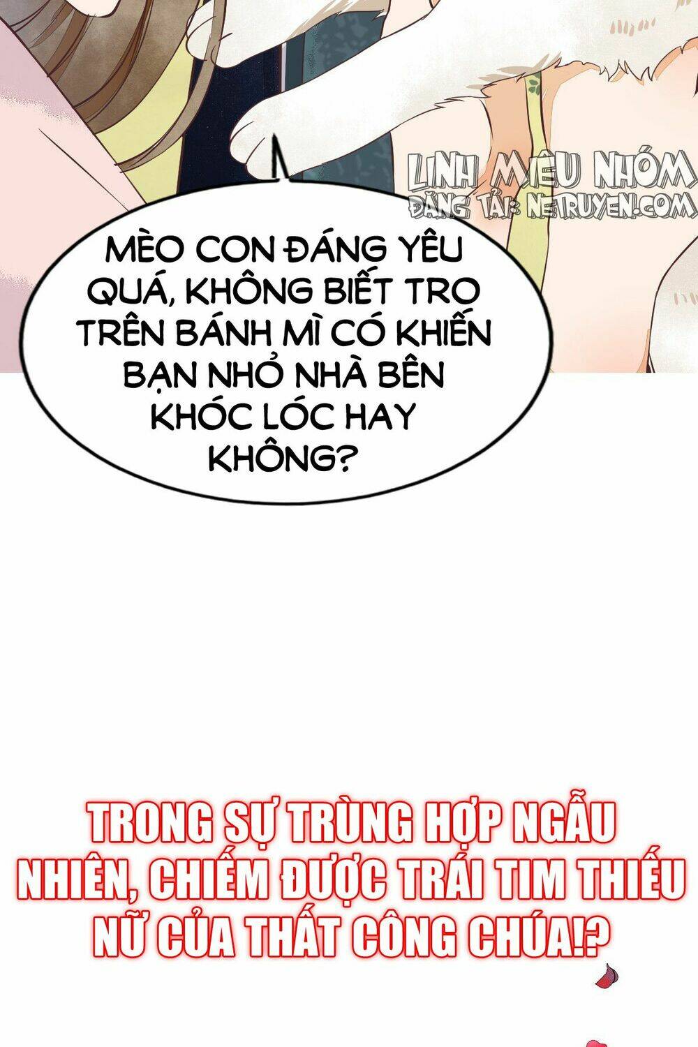 Sát Thủ Vương Phi Không Dễ Đối Phó: Chapter 1