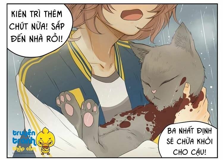 Cứu mạng ! Loài mèo thống trị thế giới rồi !: Chapter 26