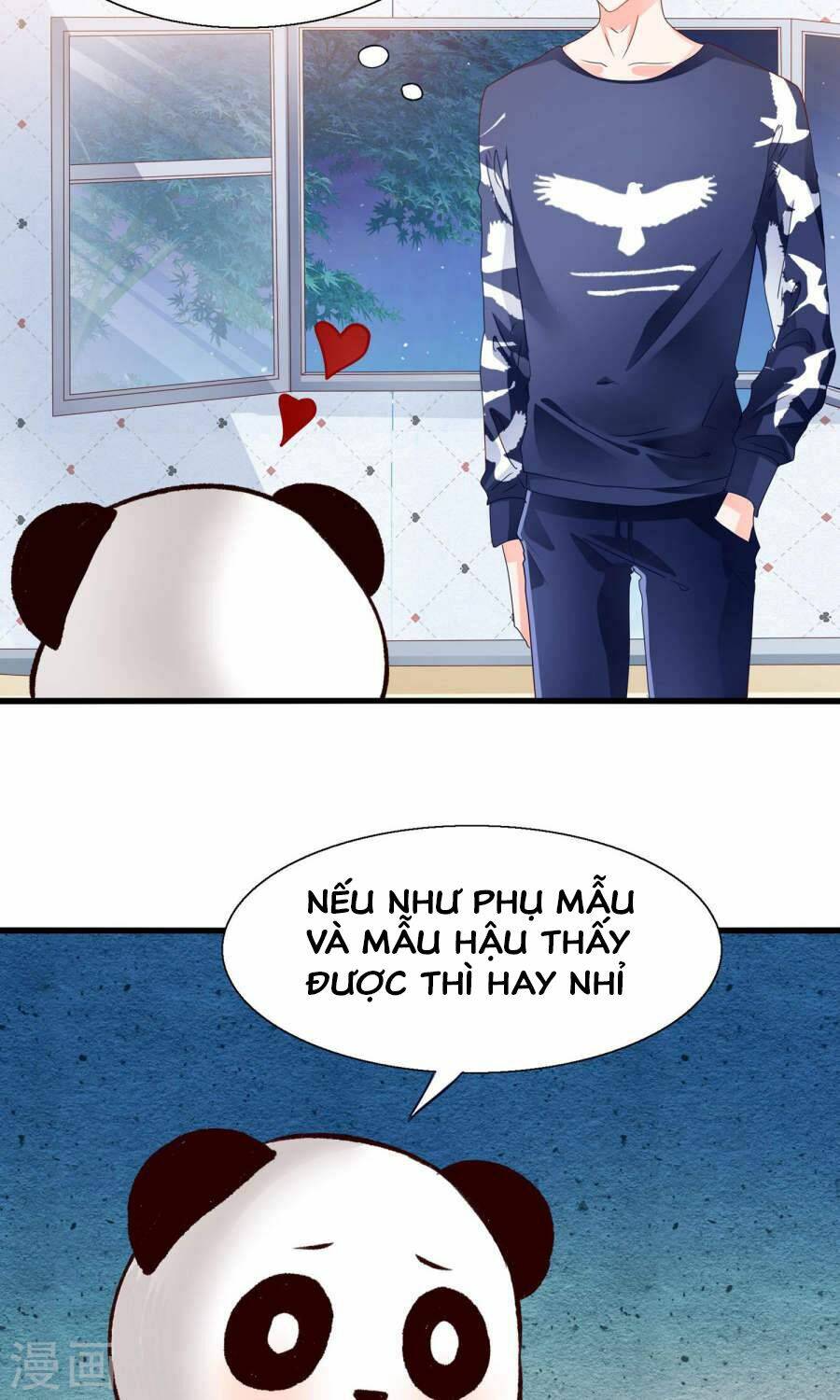 Tôi Bị Gấu Trúc Nhìn Trúng Rồi: Chapter 10