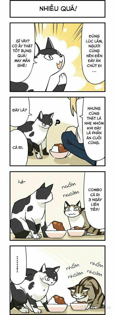 We Are Cat: Chapter 3