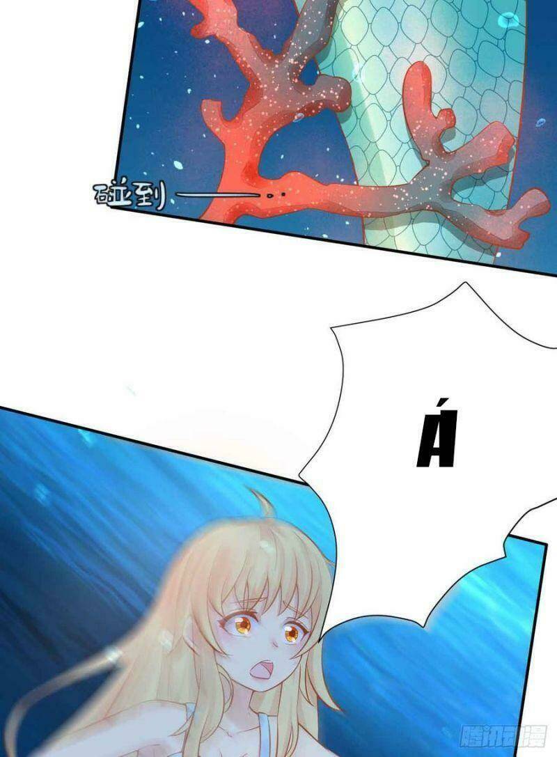 Nhân Ngư Học Trưởng, Đừng Ôm Ta!: Chapter 85