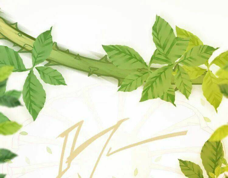 Thuần Trắng Vận Mệnh Chi Luân: Chapter 4