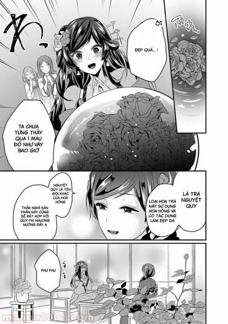 Người Quản Lí Của Hậu Cung Phi: Chapter 1