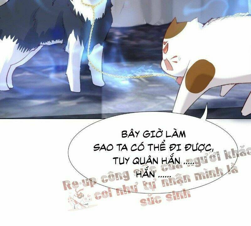 Ảnh Đế Yêu Hồ: Chapter 24