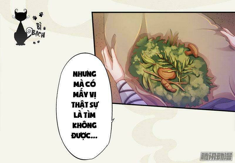 Tuyệt Thế Luyện Đan Sư: Chapter 5