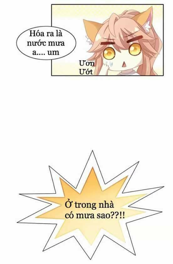 Dưới Móng Vuốt Mèo: Chapter 10