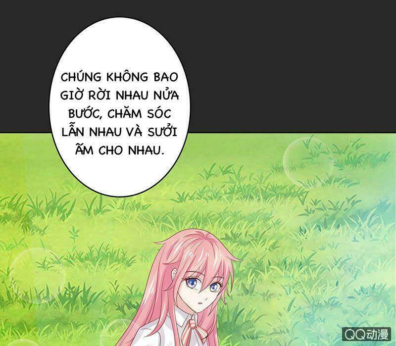 Băng Sơn Học Trưởng Không Được Chọc: Chapter 52.1