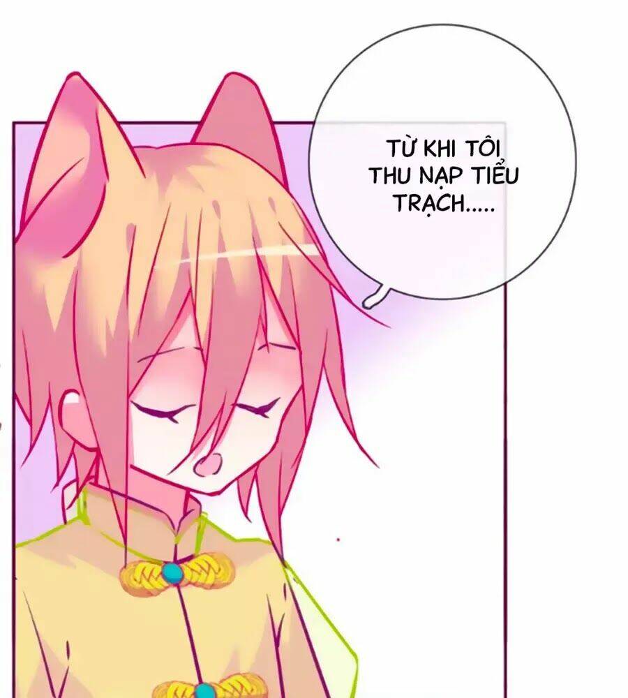 Đừng Nghịch, Ta Chỉ Muốn Yên Tĩnh: Chapter 64