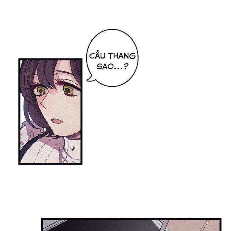 A Lady's Table: Chapter 5