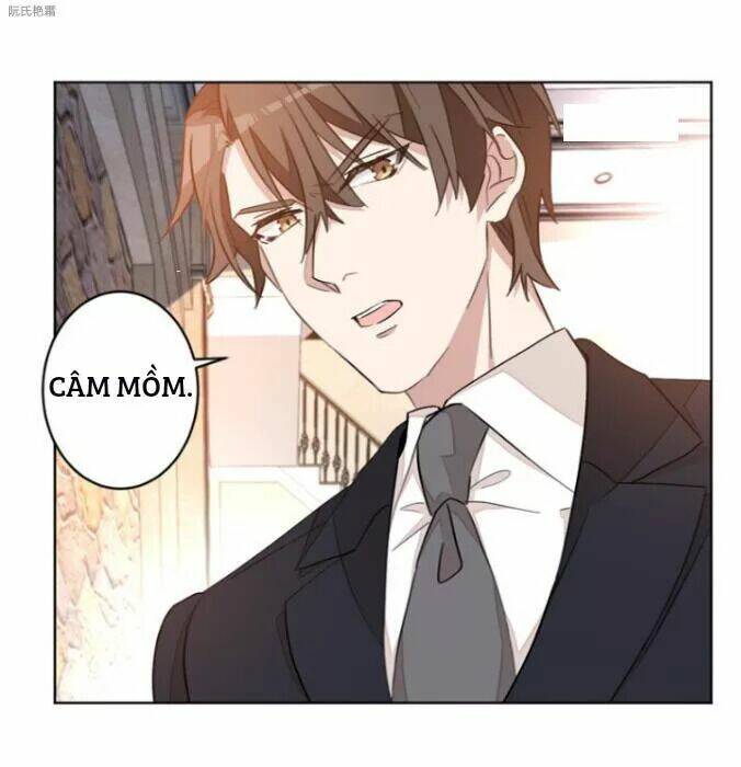 Trọng Sinh Noãn Hôn Khinh Sủng Thê: Chapter 17