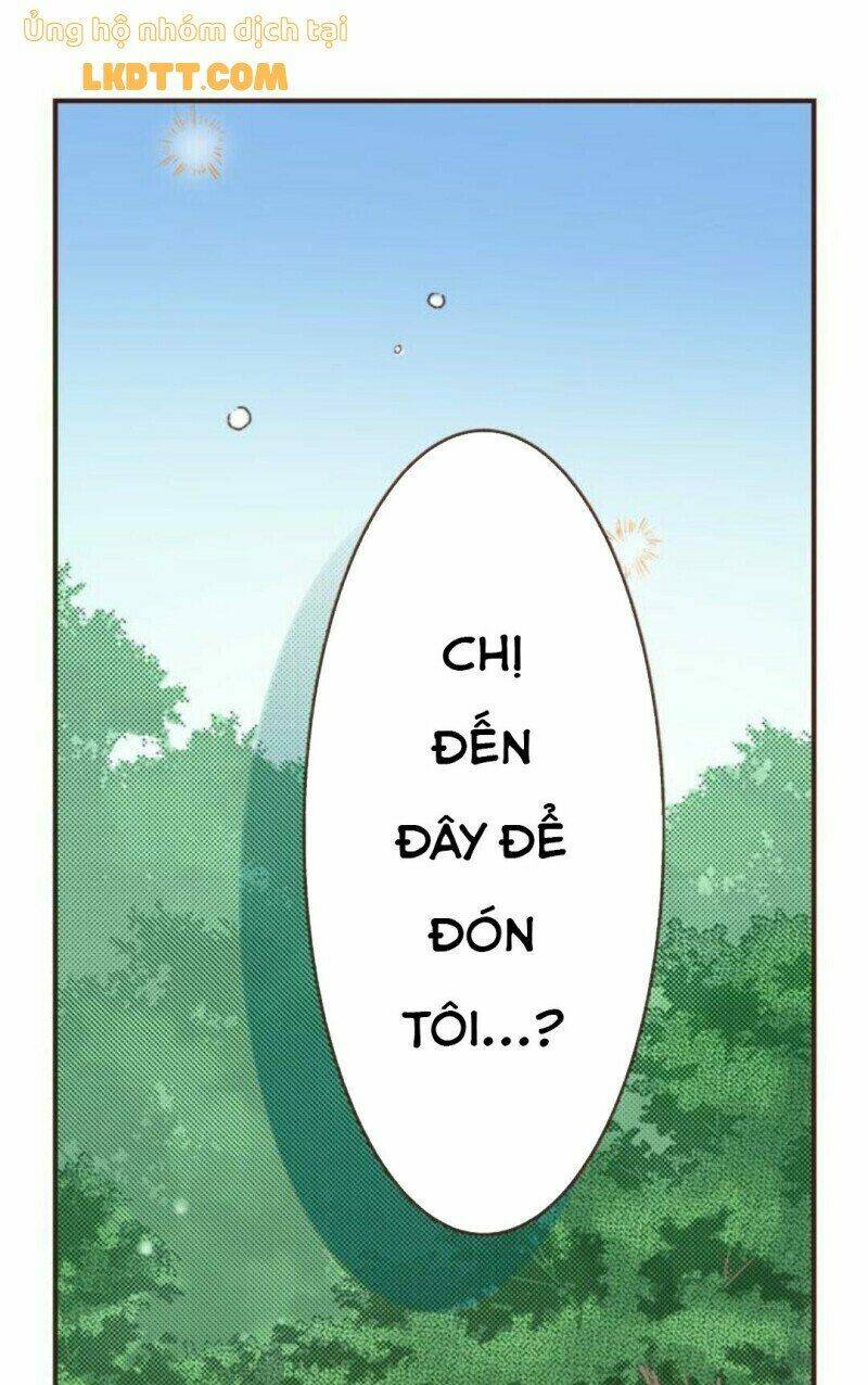 Tôi Tỉnh Lại Sau 20 Năm!: Chapter 13