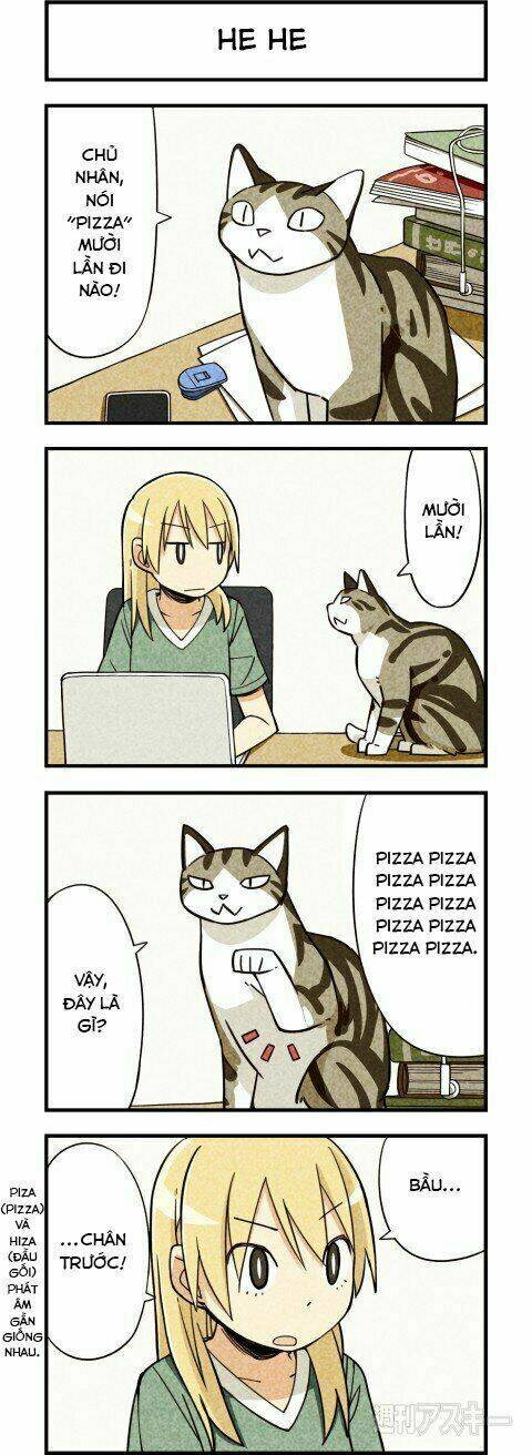 We Are Cat: Chapter 6