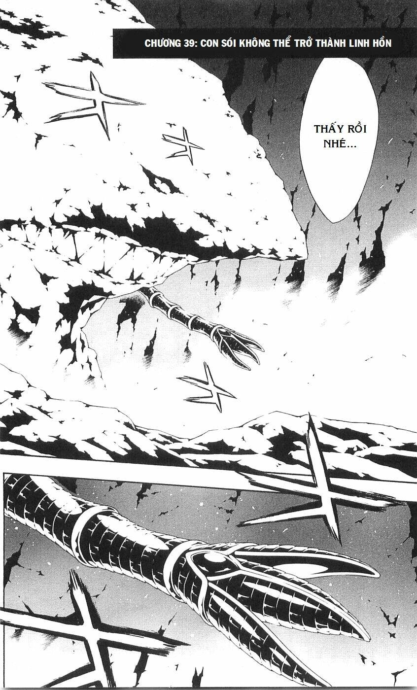 Ong Đưa Thư: Chapter 39