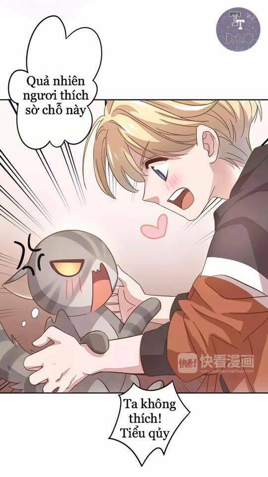 Dưới Móng Vuốt Mèo: Chapter 19