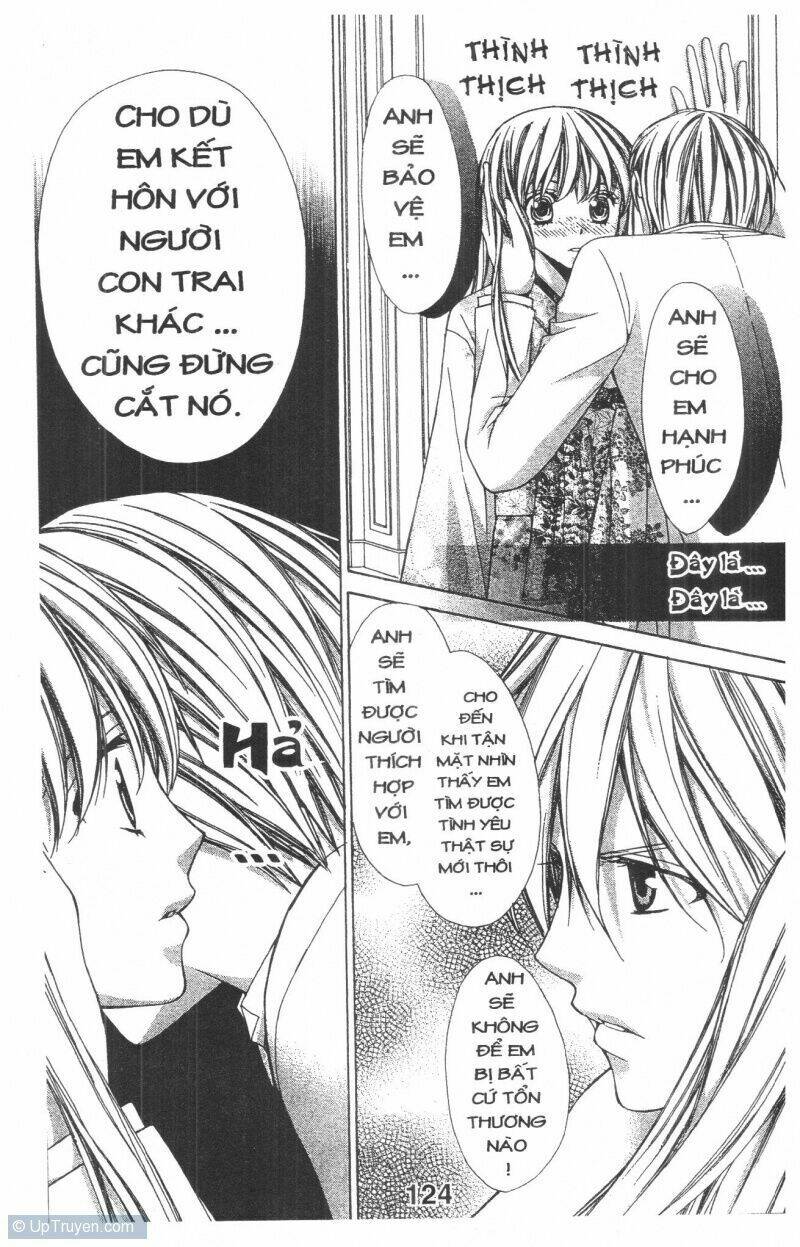 Trái Tim Kim Cương: Chapter 1