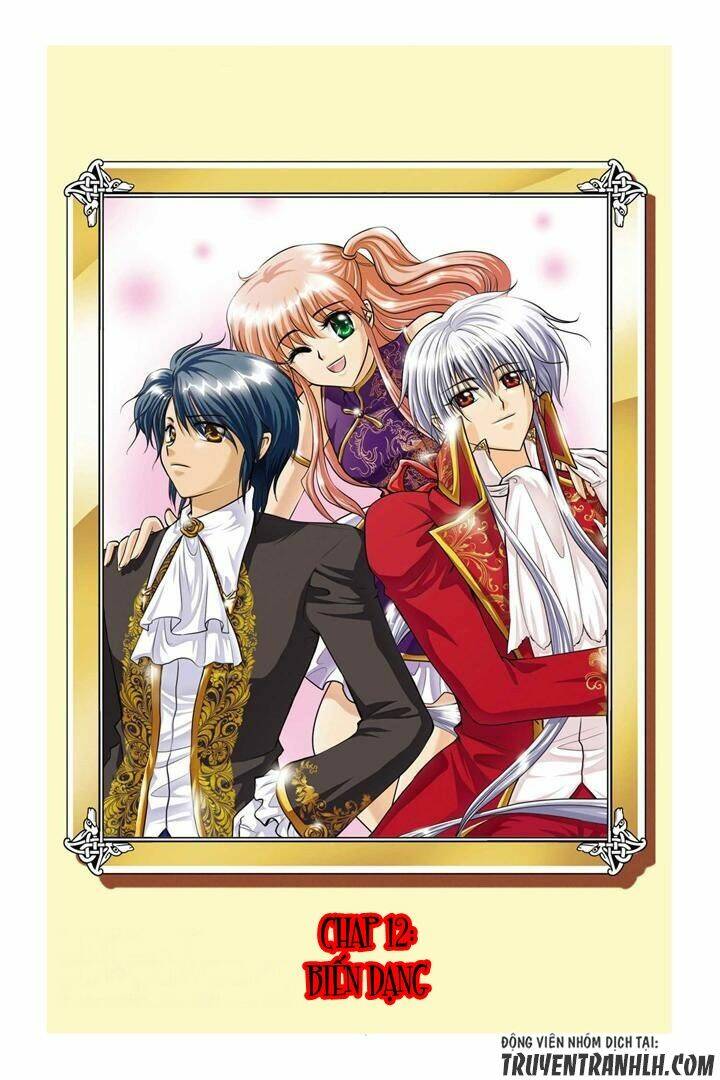 Concerto For Dark Knight: Chapter 12