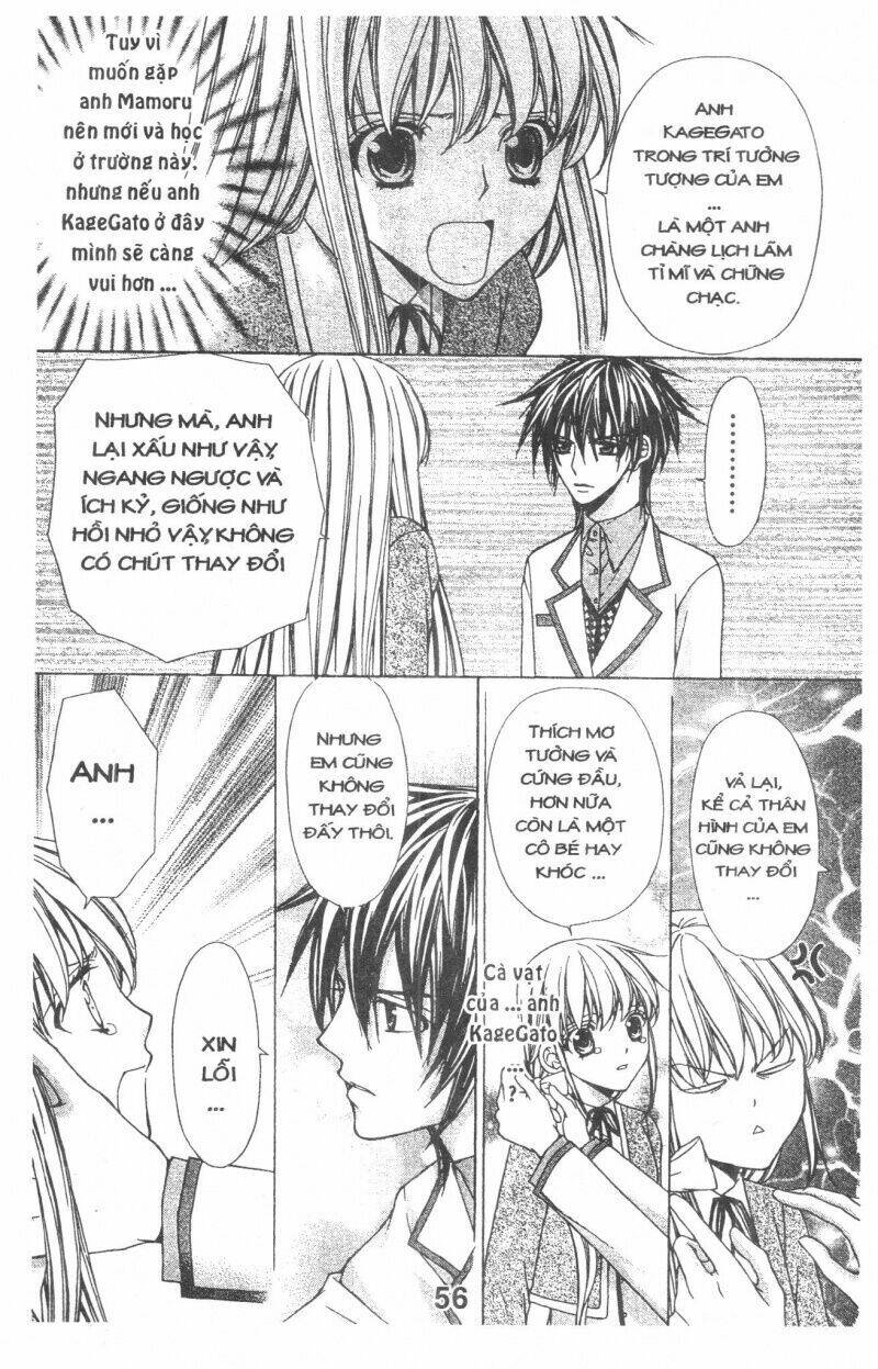 Trái Tim Kim Cương: Chapter 1