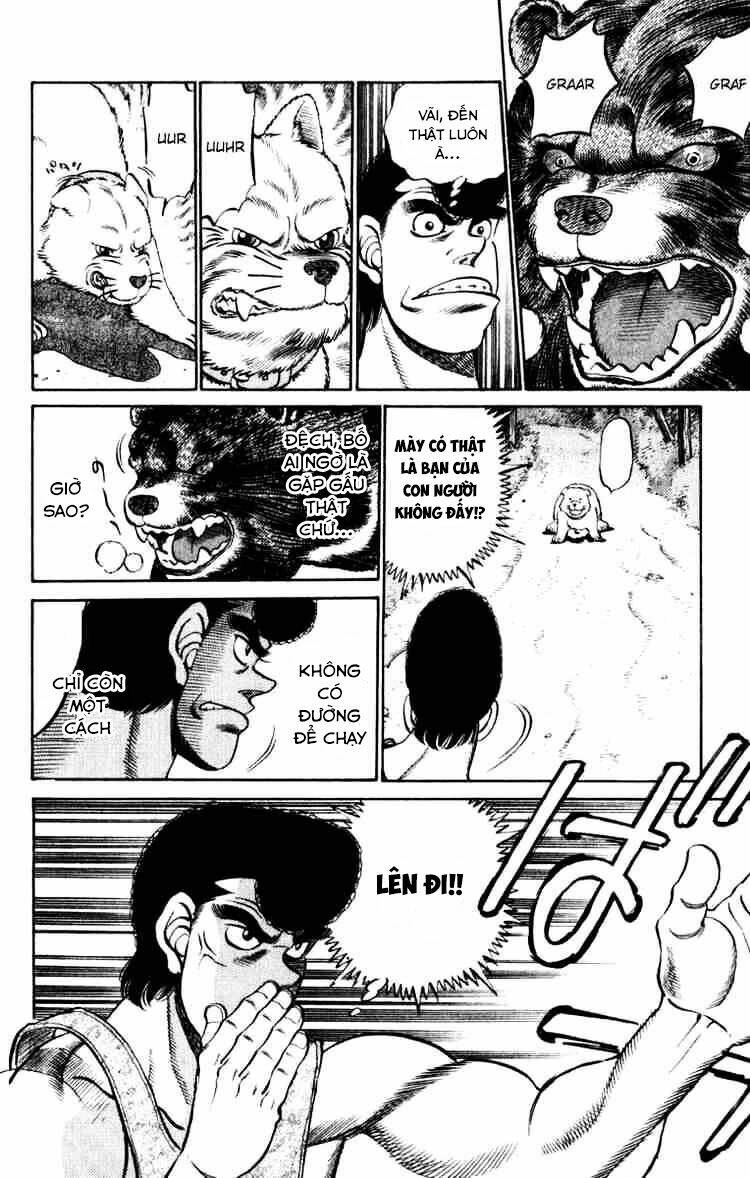 Võ Sĩ Quyền Anh Ippo: Chapter 229
