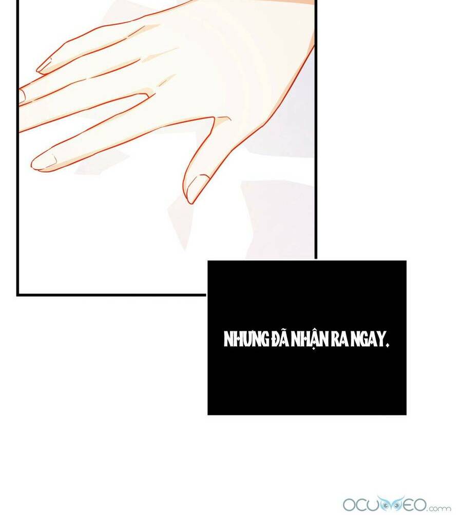 Lòng Trung Thành Với Kẻ Ác: Chapter 4