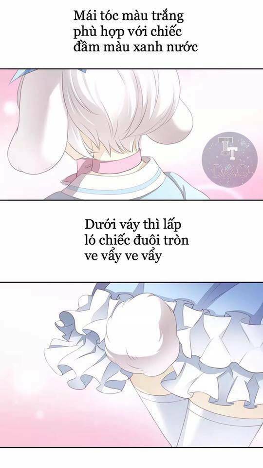 Dưới Móng Vuốt Mèo: Chapter 17
