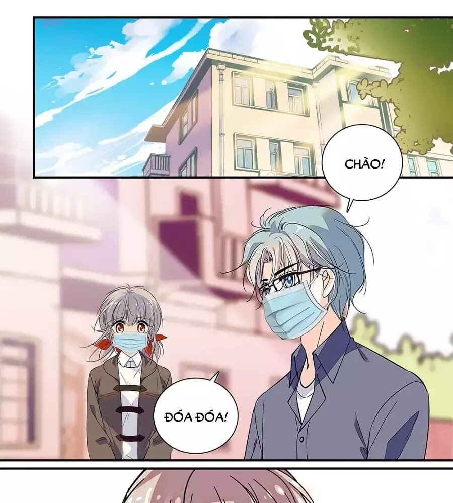 Thanh Ninh Chi Hạ: Chapter 443