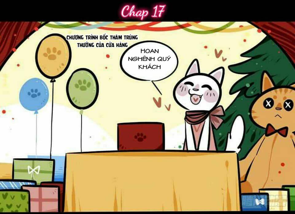 Đời Không Như Mình Tưởng: Chapter 17
