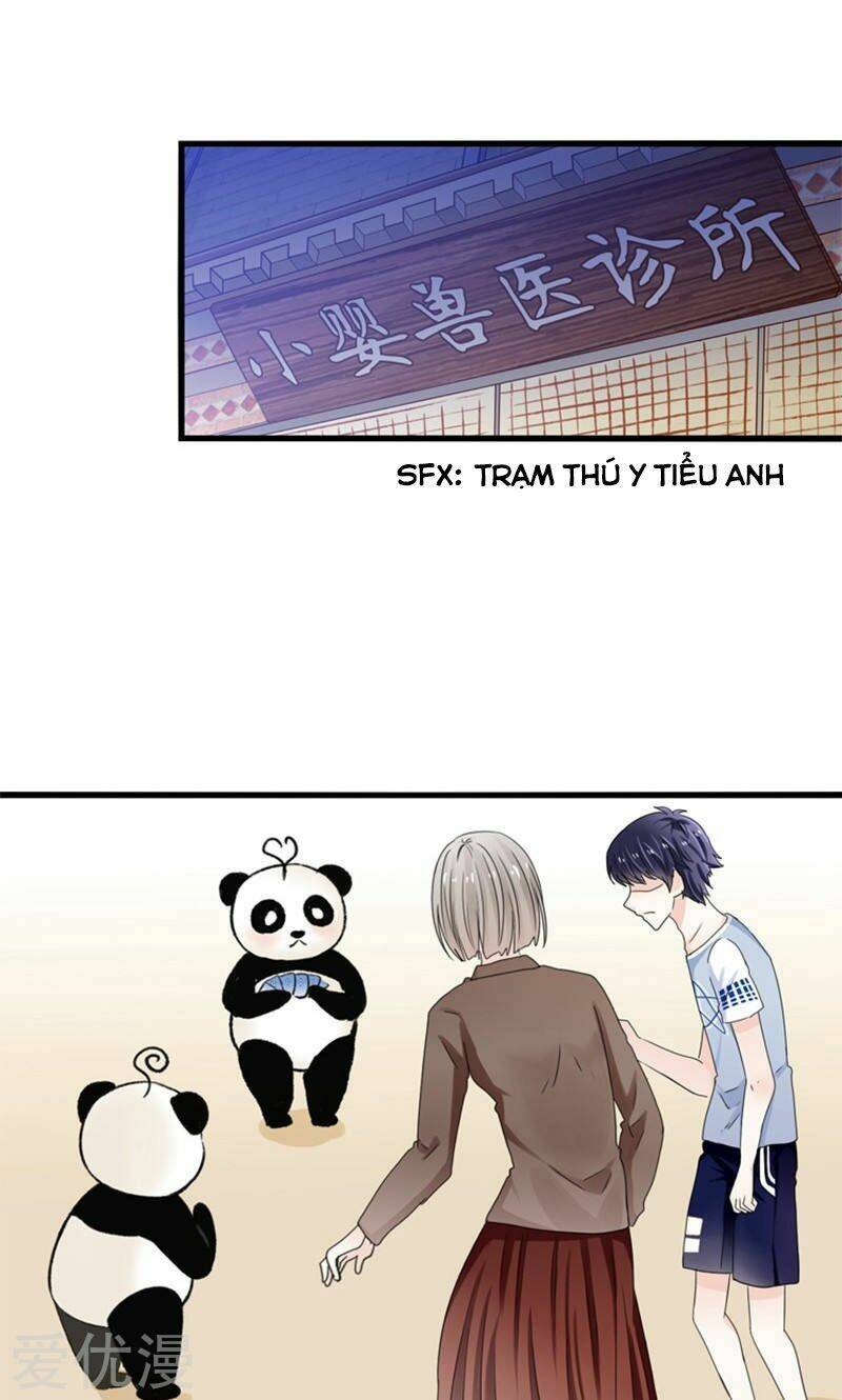 Tôi Bị Gấu Trúc Nhìn Trúng Rồi: Chapter 17